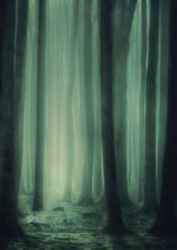 ħ���ķ�̔���{��H��