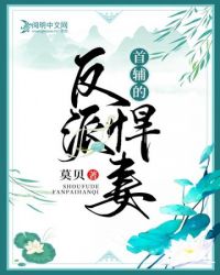 �׸��ķ��ɺ���