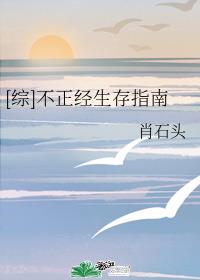 [��]����������ָ��